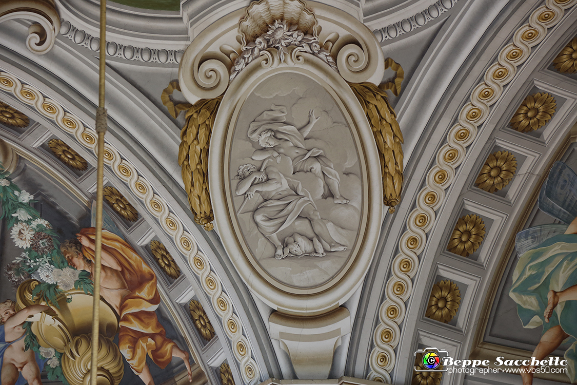 VBS_6040 - Sotto il Cervo - Palazzina di Caccia di Stupinigi.jpg
